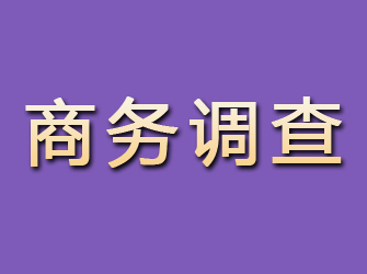 福鼎商务调查